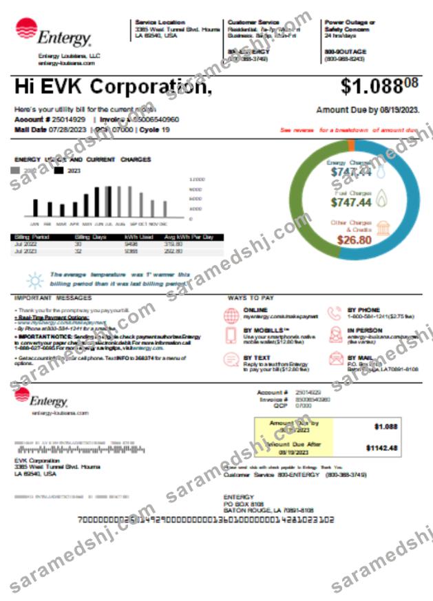 Louisiana Entergy utility business bill SCR